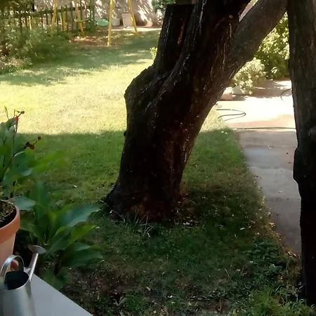 Meri 3*